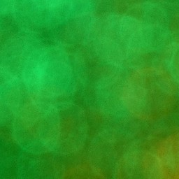 Bokeh-368